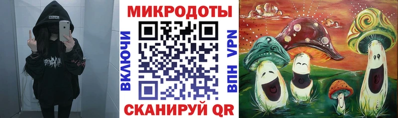 Псилоцибиновые грибы Psilocybine cubensis  Лесосибирск 
