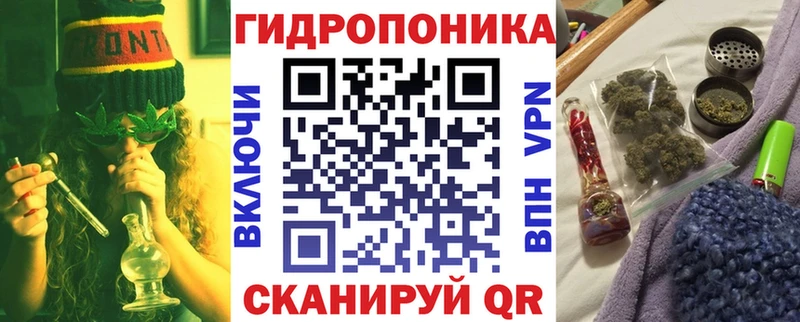 Бошки Шишки план Лесосибирск